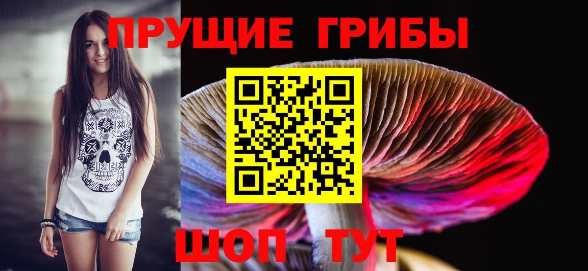 Галлюциногенные грибы Psilocybe Ижевск