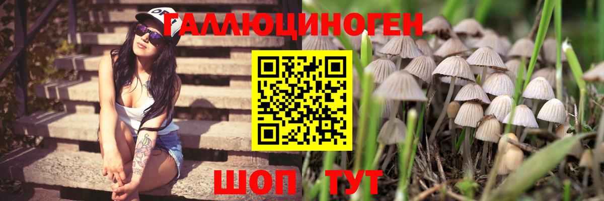 Галлюциногенные грибы прущие грибы  Вход с VPN  Ижевск 